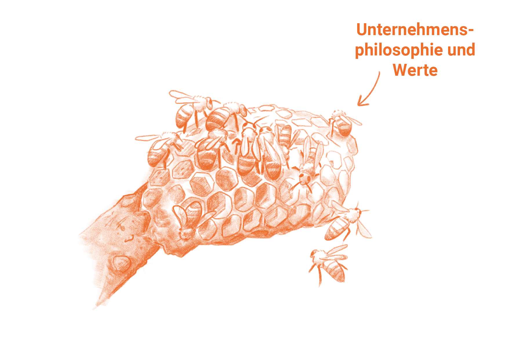Bienenstock im Aufbau - Schritt 2
