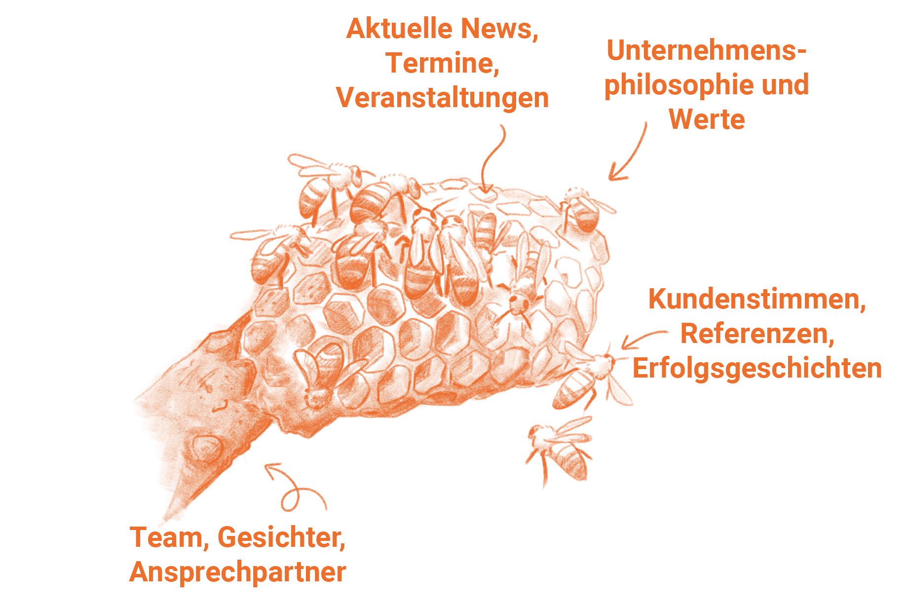 Bienenstock im Aufbau - Schritt 5