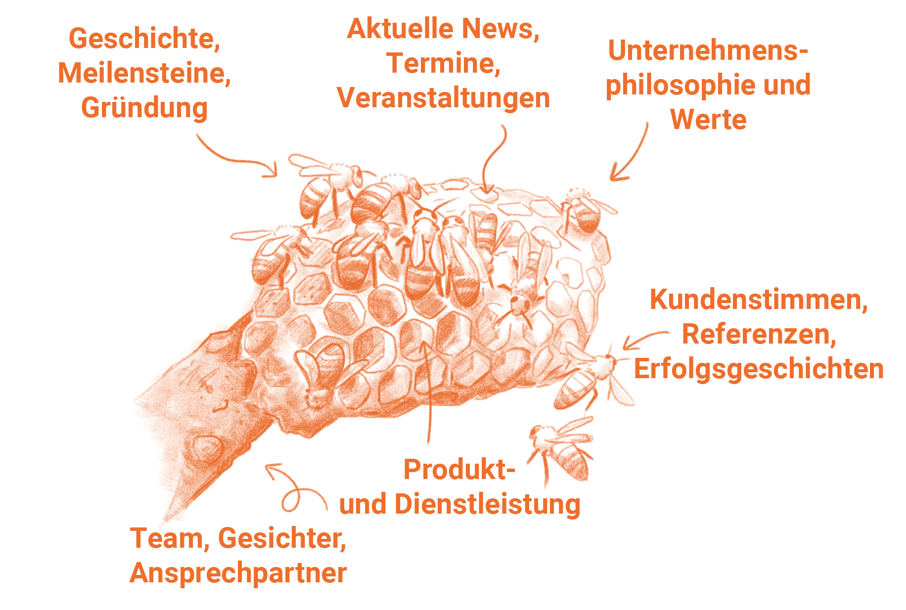 Bienenstock im Aufbau - Schritt 7